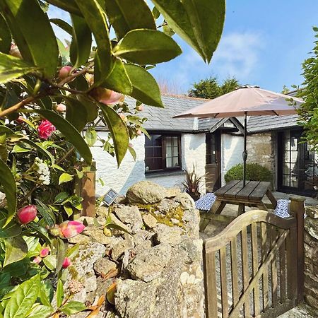 Hallagenna Cottages بودمين المظهر الخارجي الصورة