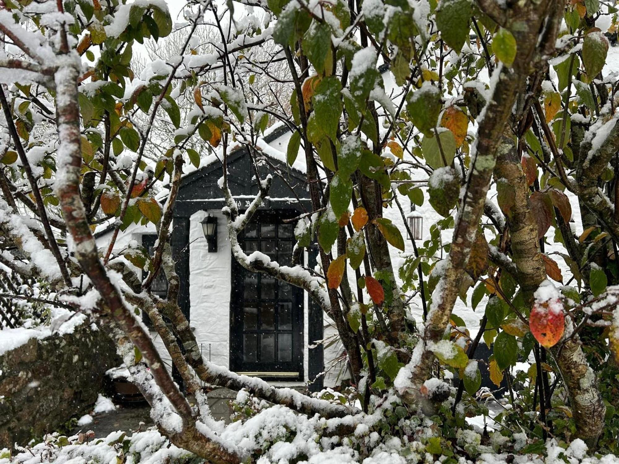 Hallagenna Cottages بودمين المظهر الخارجي الصورة